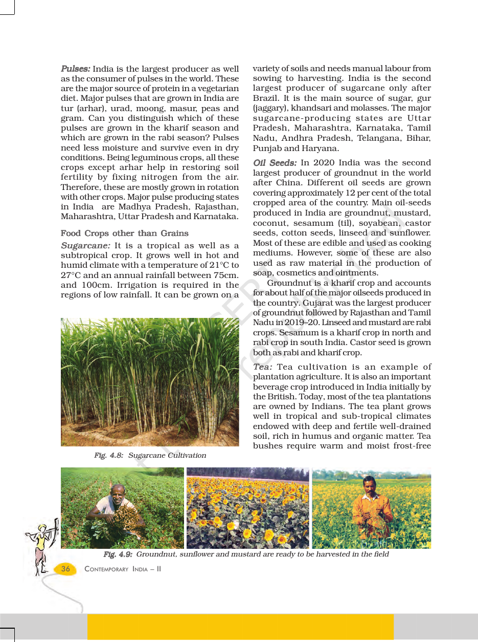 Page 7 of The Age of Industrialisation