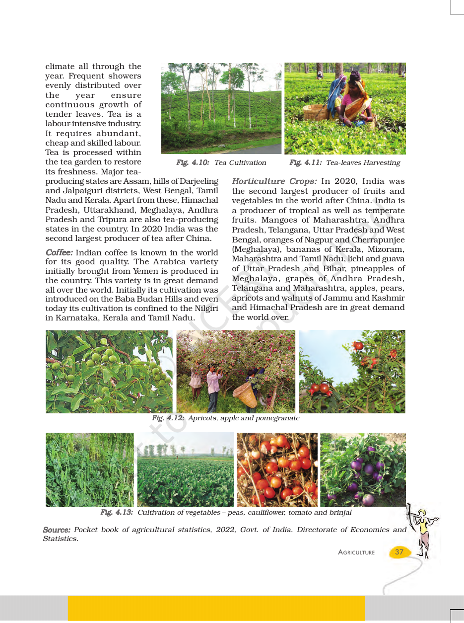 Page 8 of The Age of Industrialisation