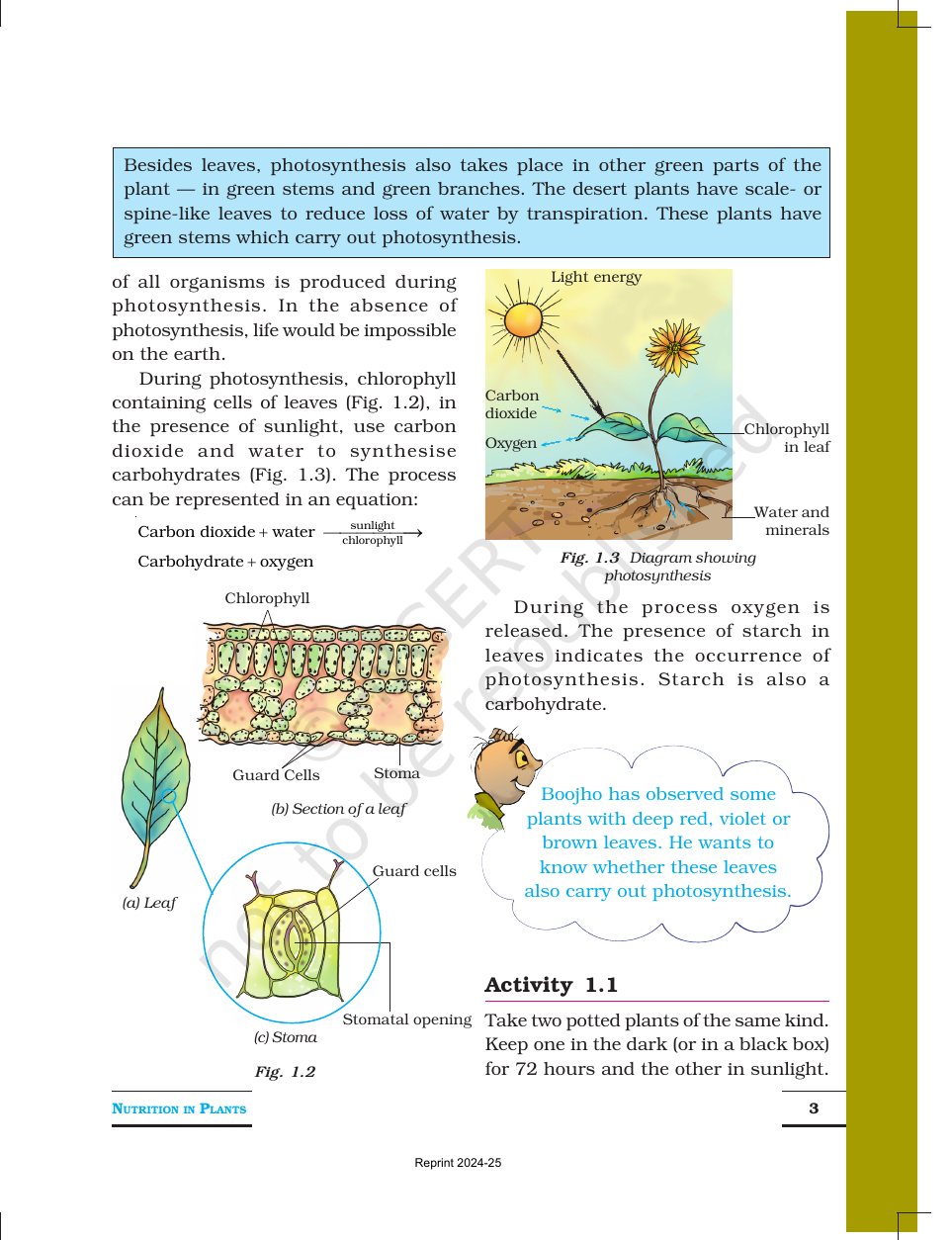 Page 3 of Nutrition in Plants
