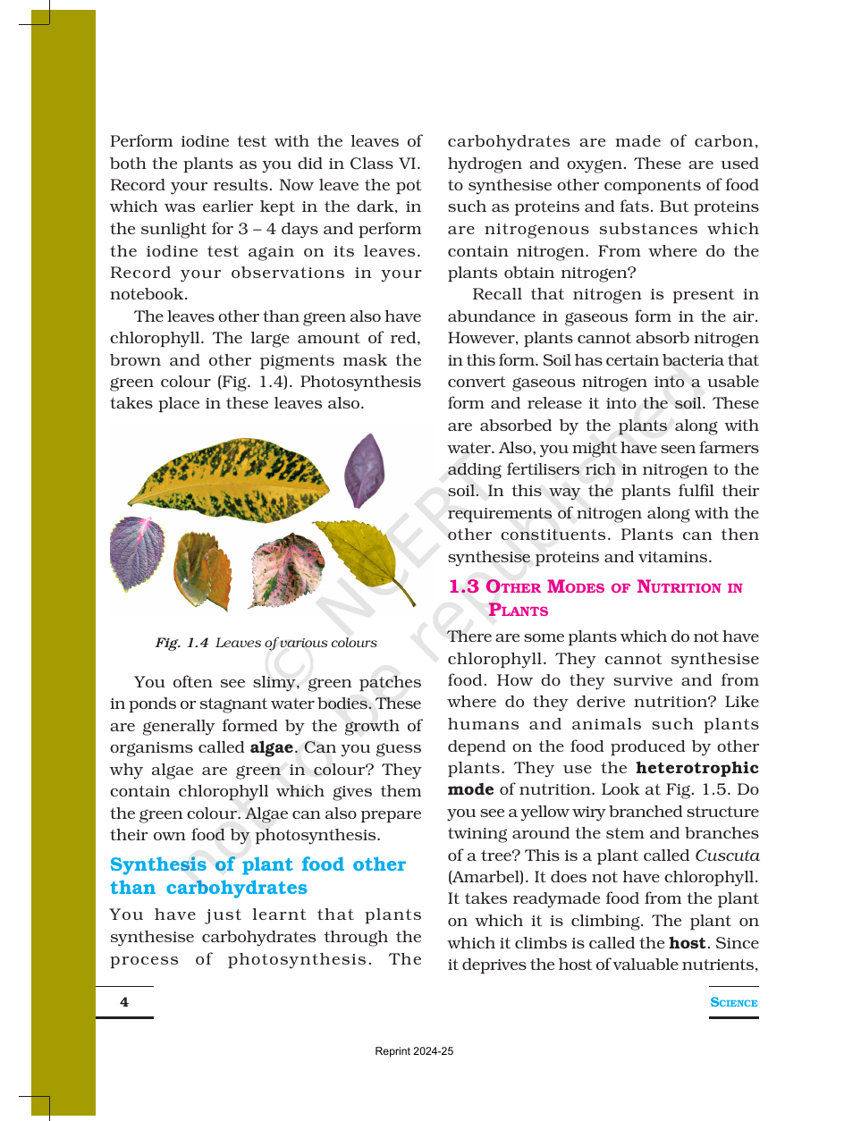 Page 4 of Nutrition in Plants
