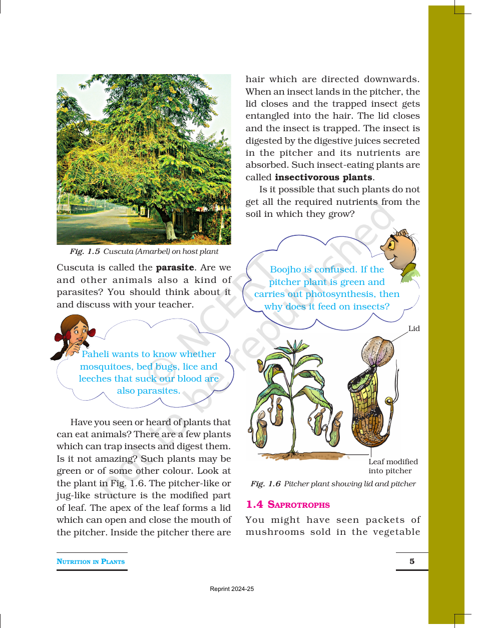 Page 5 of Nutrition in Plants