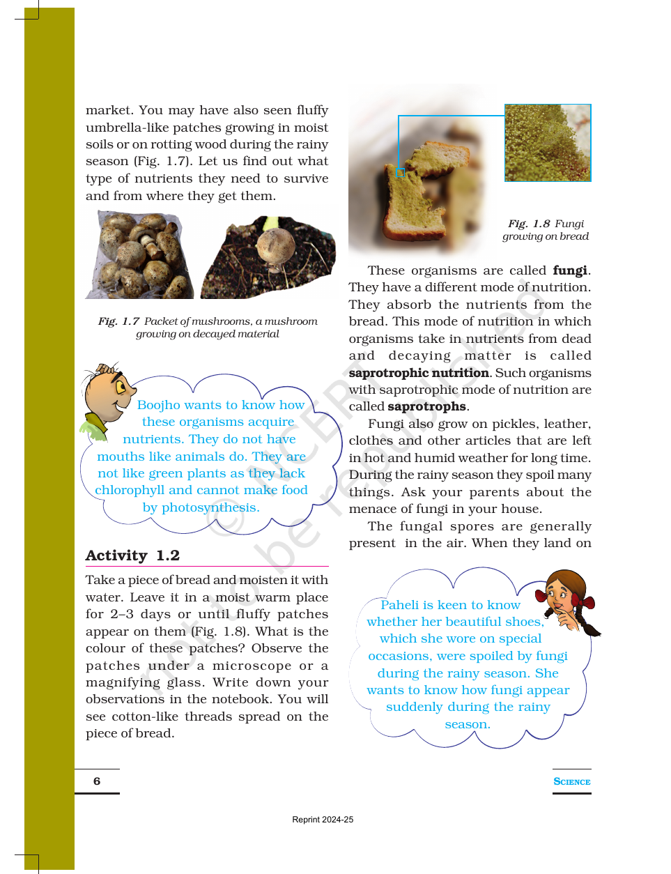Page 6 of Nutrition in Plants