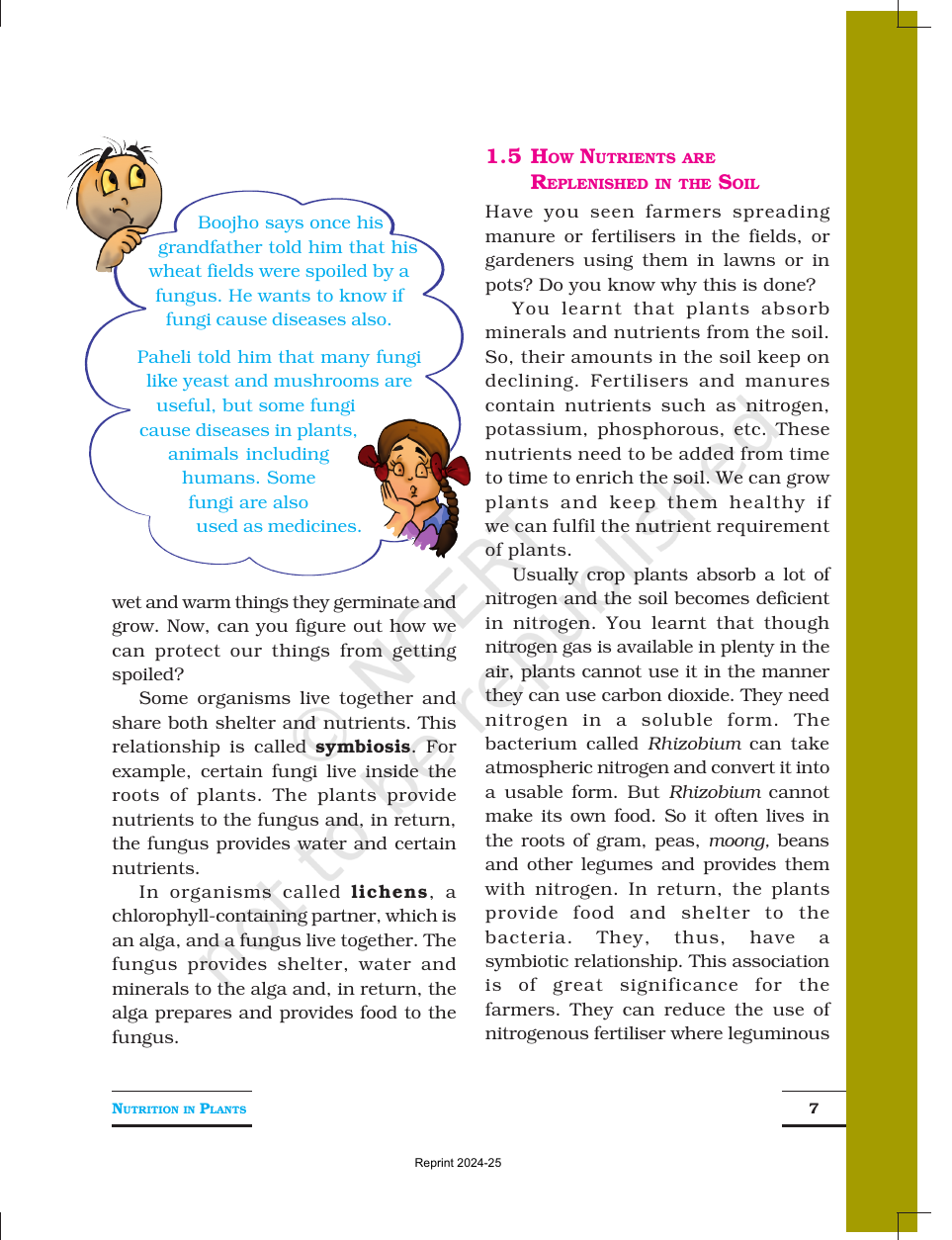 Page 7 of Nutrition in Plants