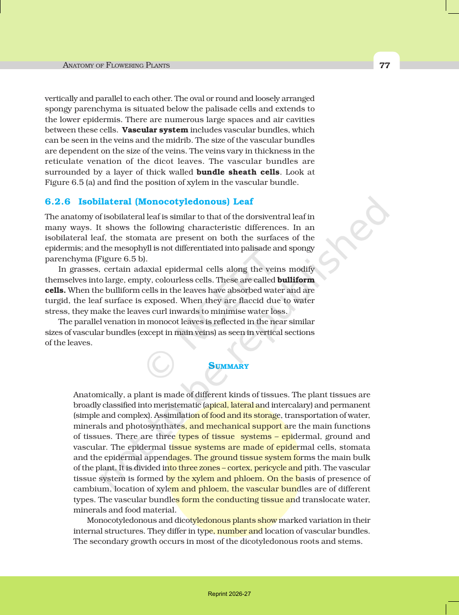 Page 7 of Anatomy of Flowering Plants