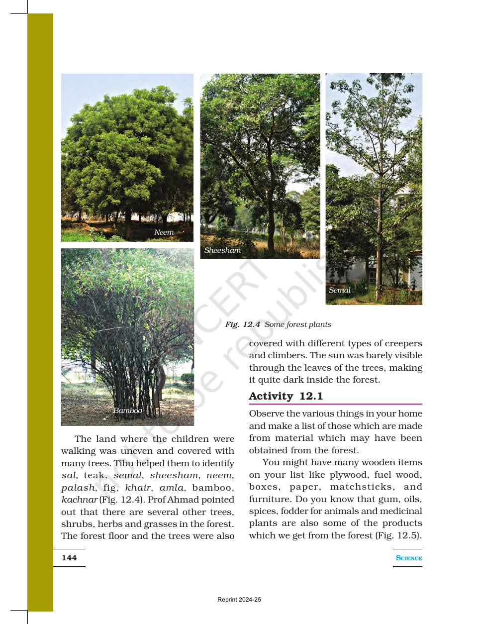 Page 3 of Forests: Our Lifeline