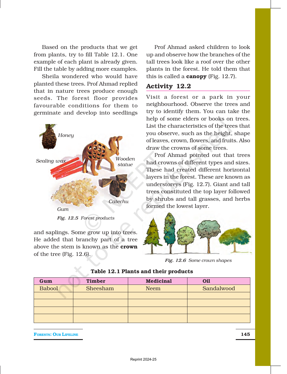 Page 4 of Forests: Our Lifeline