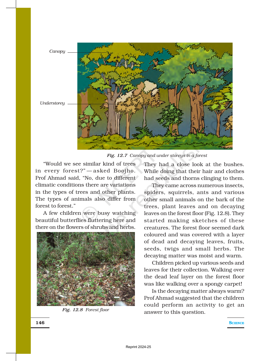 Page 5 of Forests: Our Lifeline