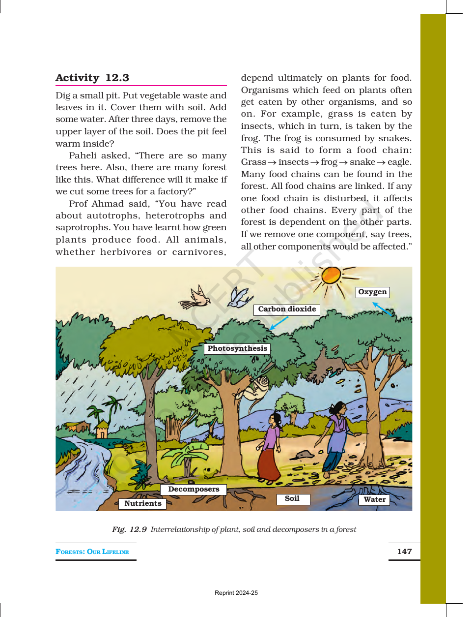 Page 6 of Forests: Our Lifeline