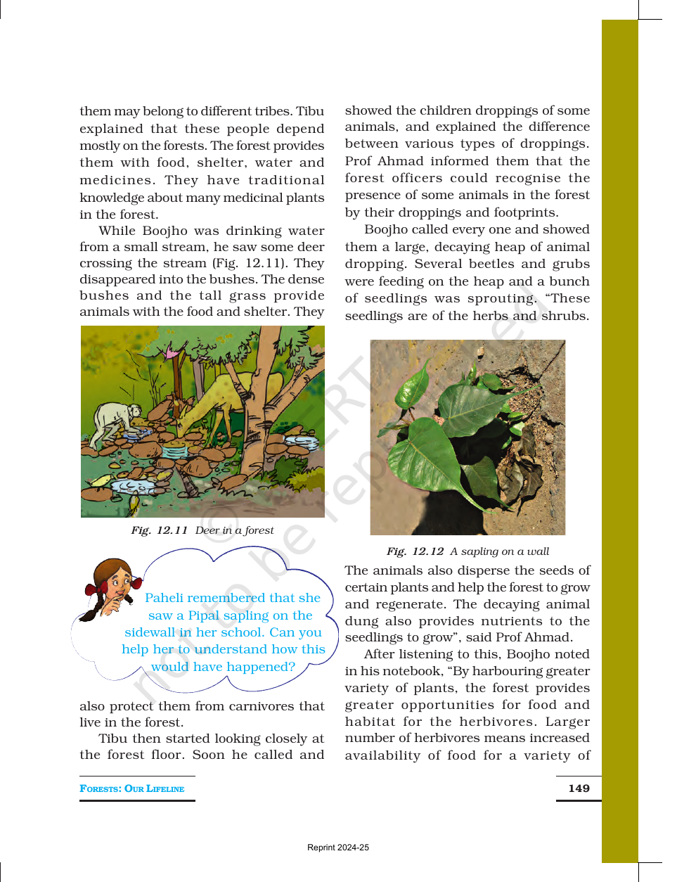 Page 8 of Forests: Our Lifeline