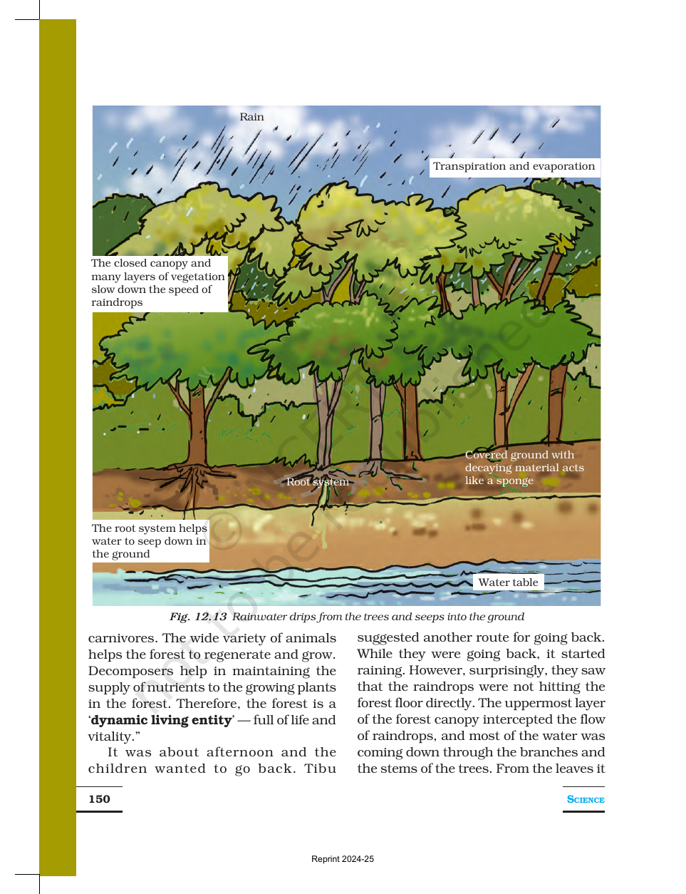 Page 9 of Forests: Our Lifeline