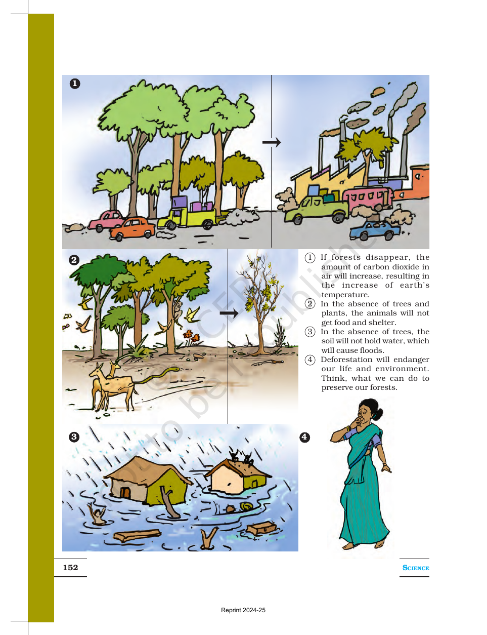 Page 11 of Forests: Our Lifeline