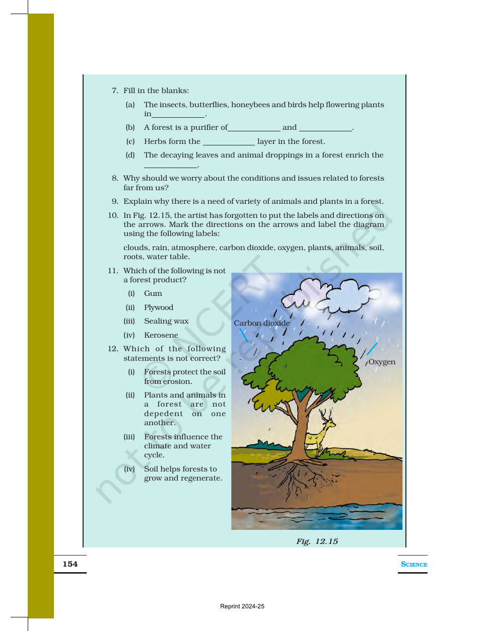 Page 13 of Forests: Our Lifeline