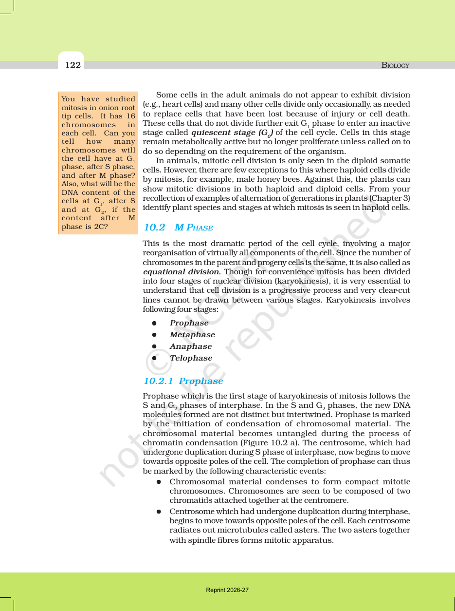 Page 3 of Cell Cycle and Cell Division