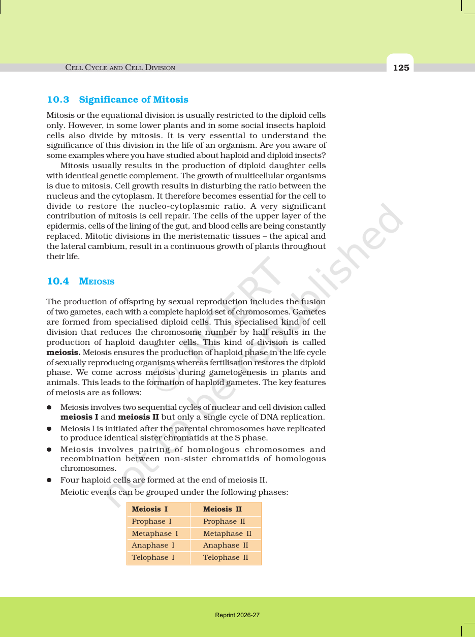 Page 6 of Cell Cycle and Cell Division