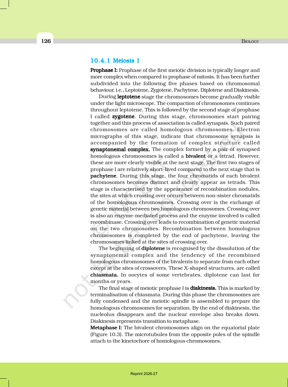 Page 7 of Cell Cycle and Cell Division