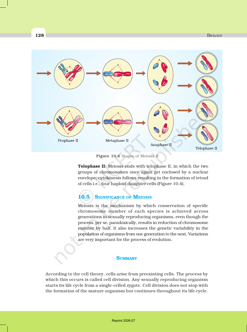 Page 9 of Cell Cycle and Cell Division
