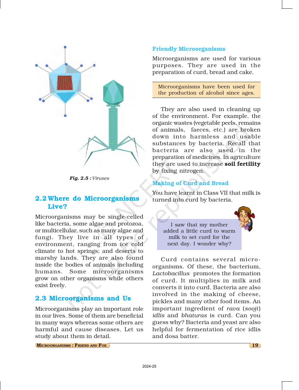 Page 3 of Microorganisms: Friend and Foe
