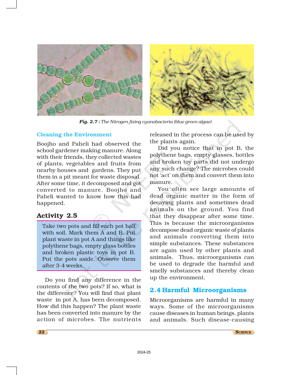 Page 6 of Microorganisms: Friend and Foe
