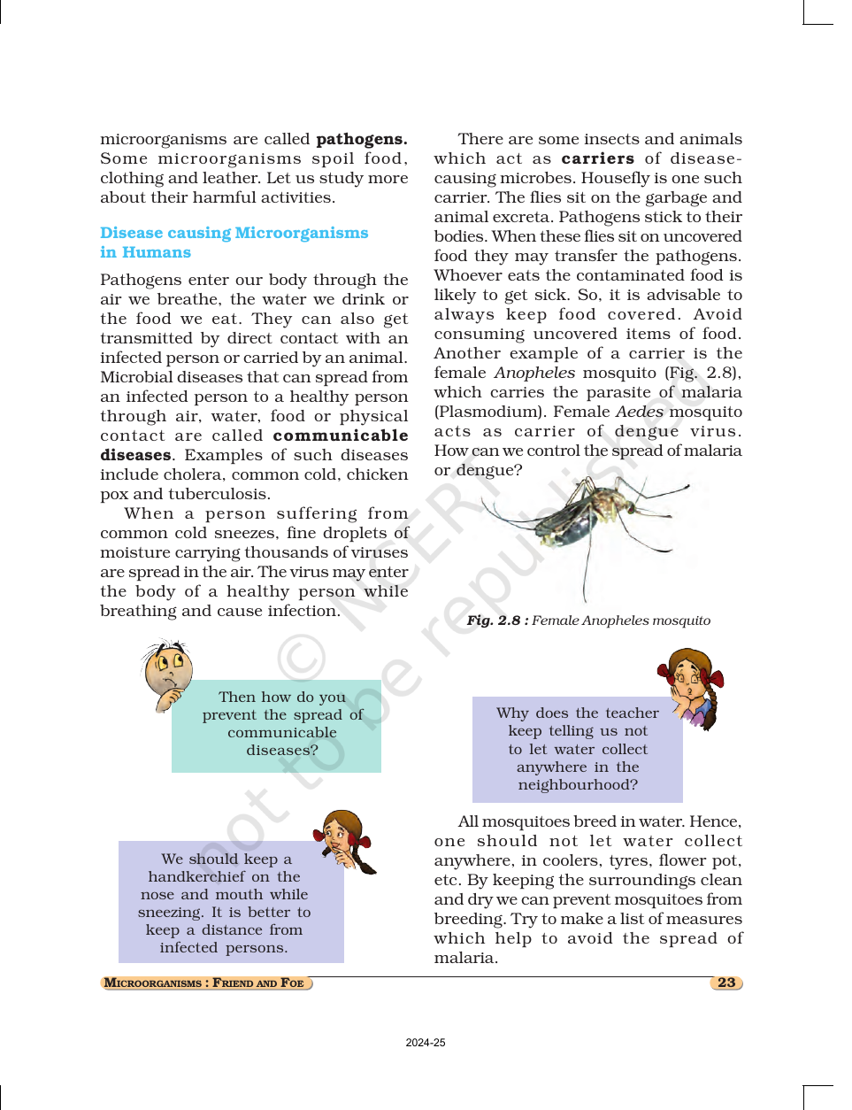 Page 7 of Microorganisms: Friend and Foe