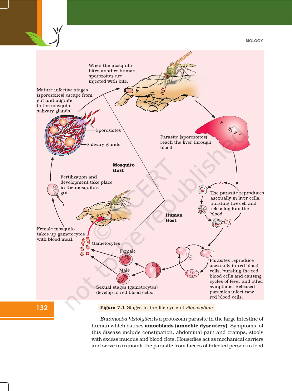 Page 6 of Human Health and Disease