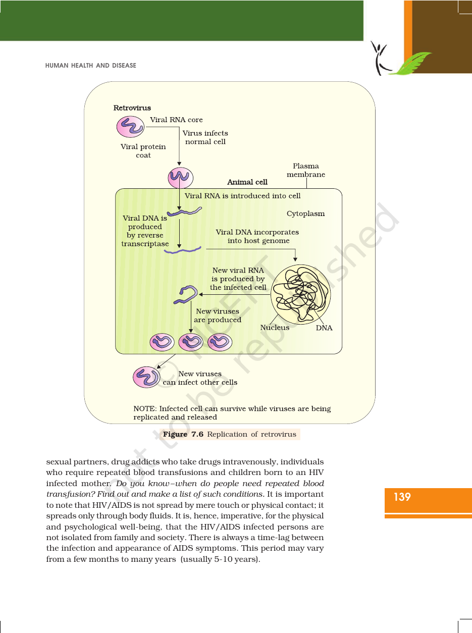 Page 13 of Human Health and Disease