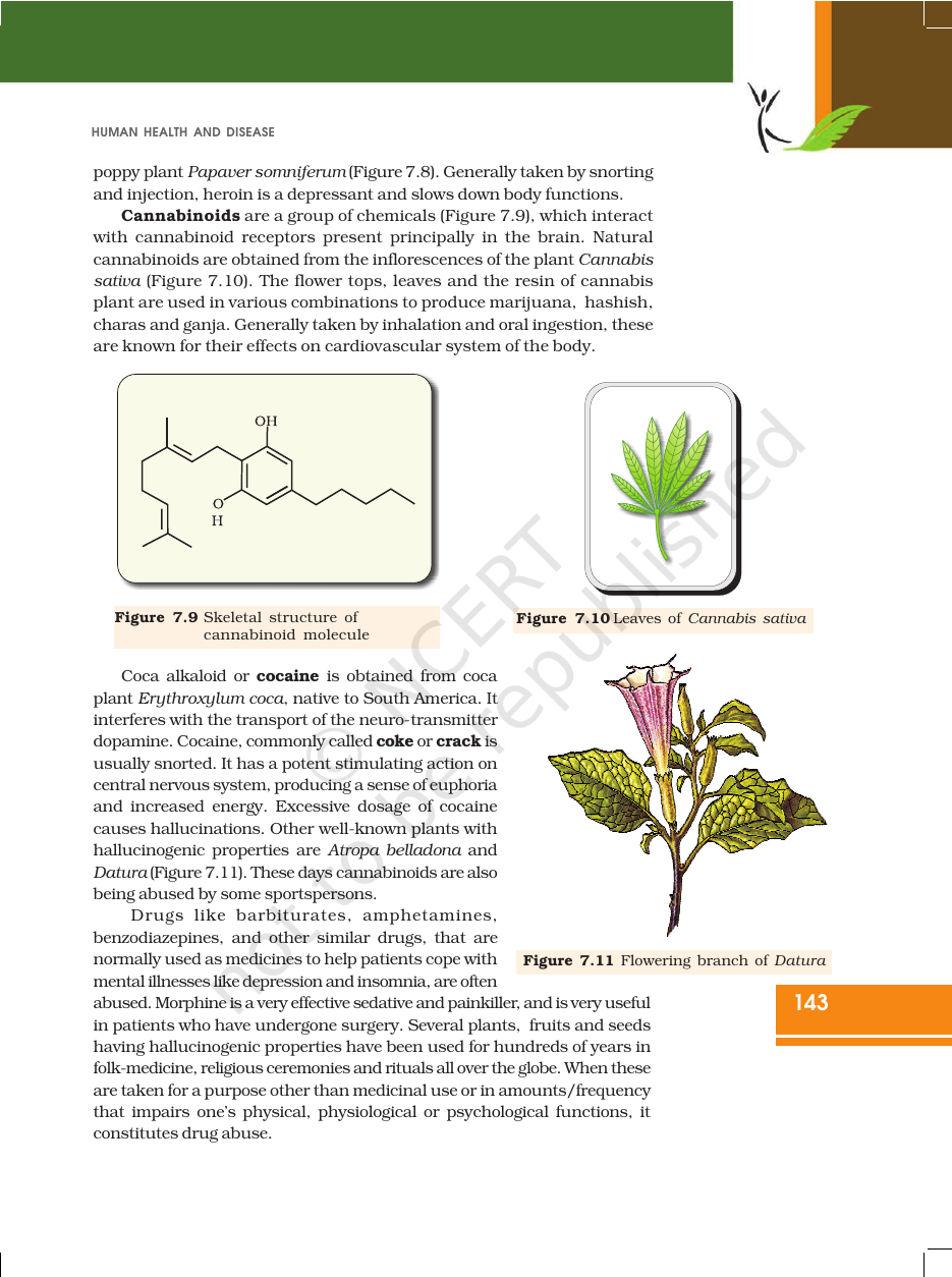 Page 17 of Human Health and Disease