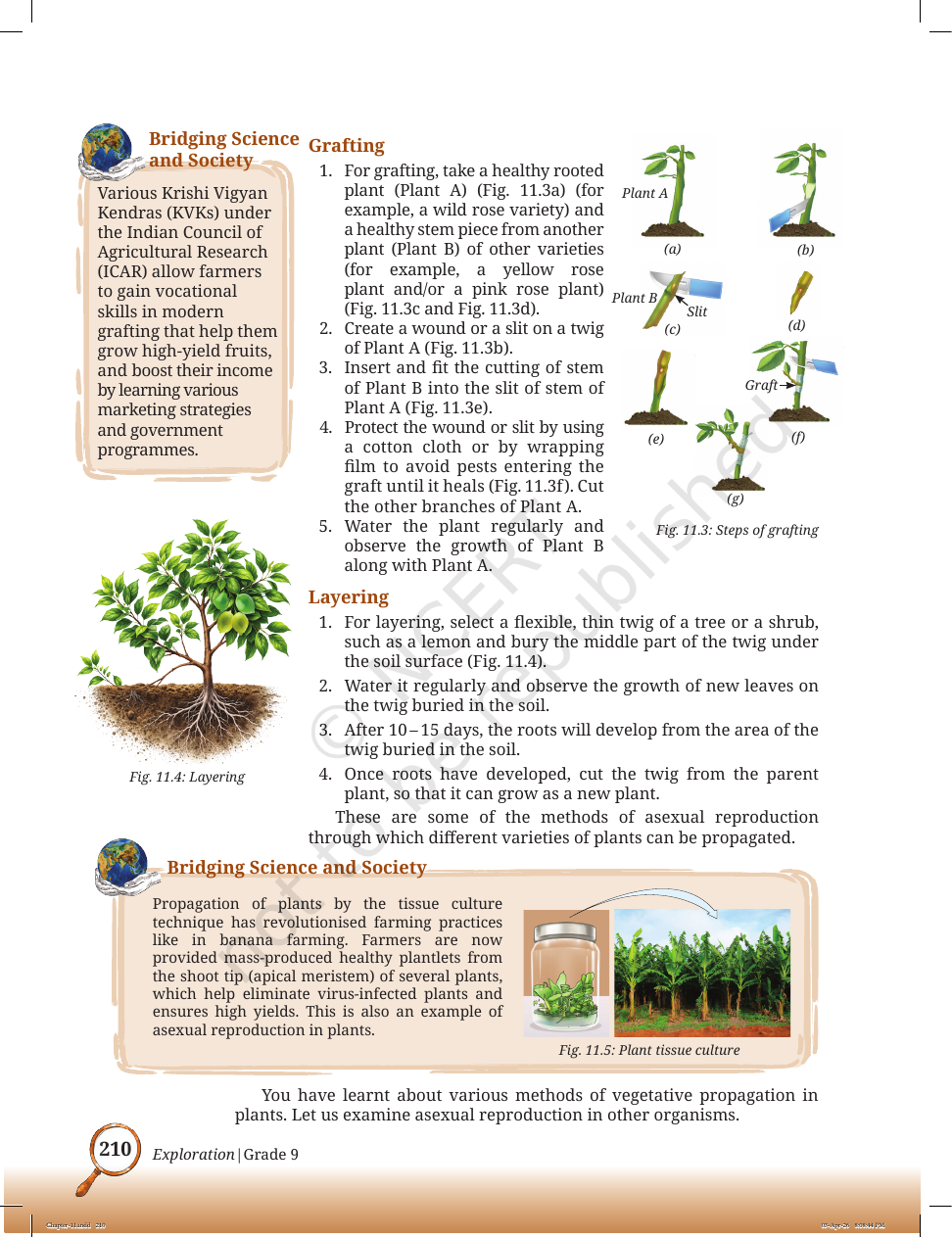 Page 3 of Sound