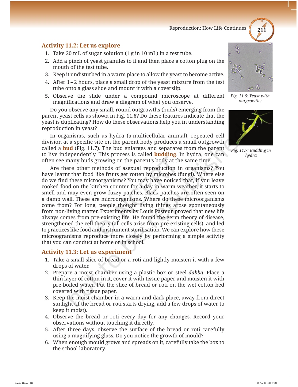 Page 4 of Sound