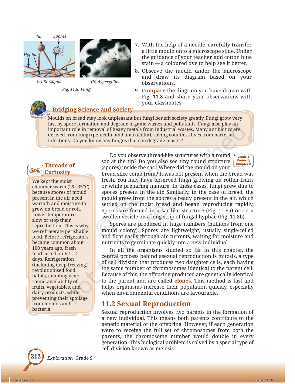 Page 5 of Sound