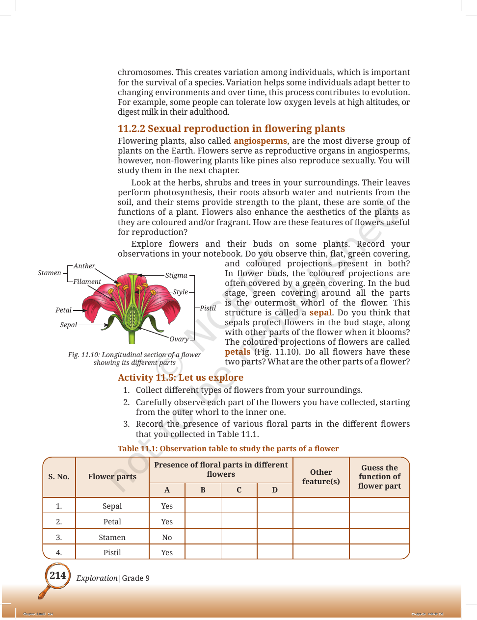 Page 7 of Sound