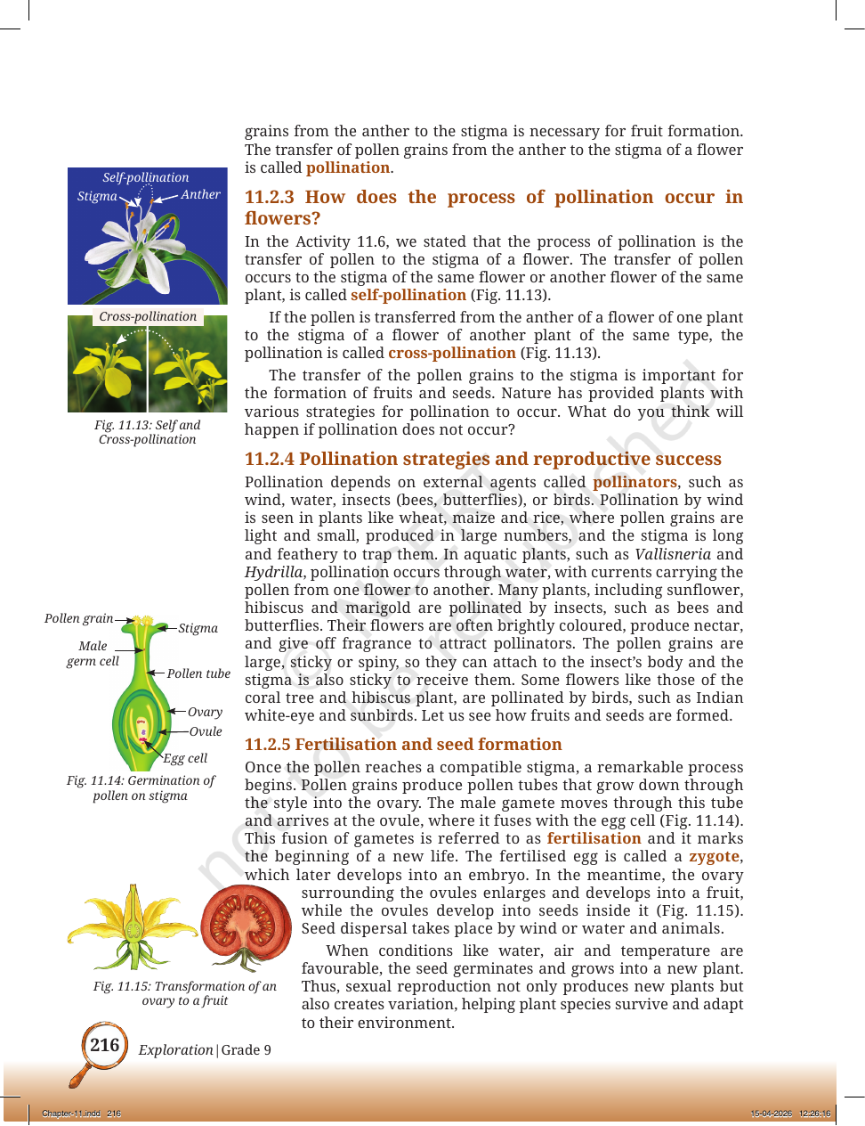 Page 9 of Sound