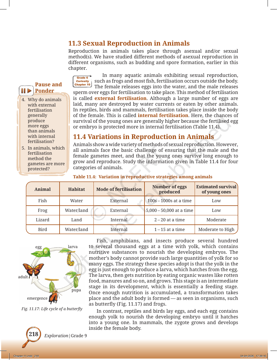 Page 11 of Sound