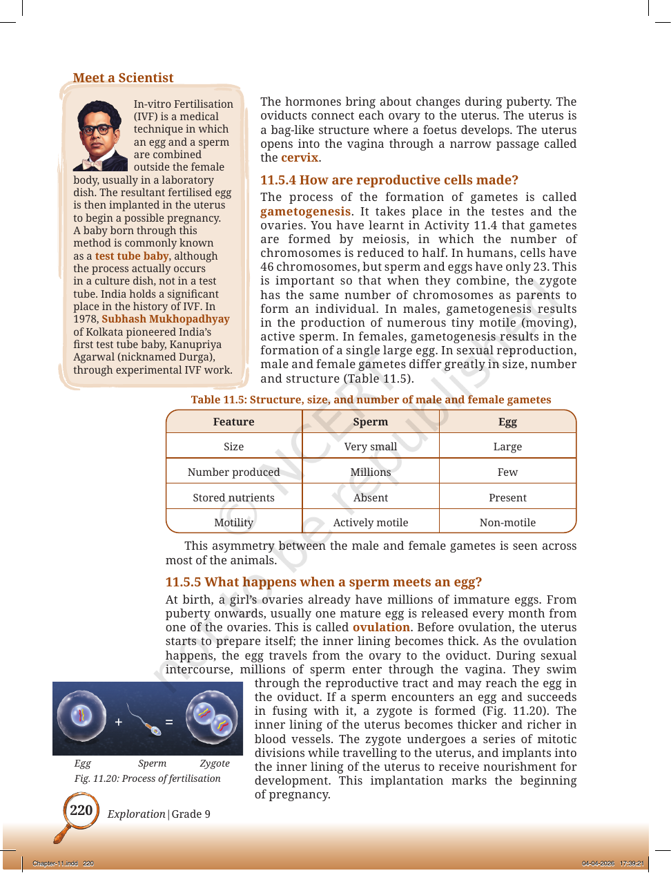Page 13 of Sound