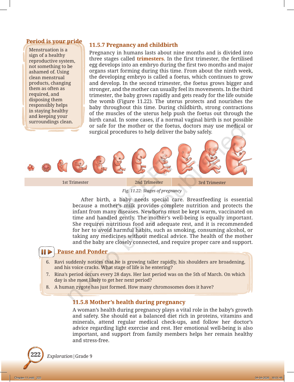 Page 15 of Sound