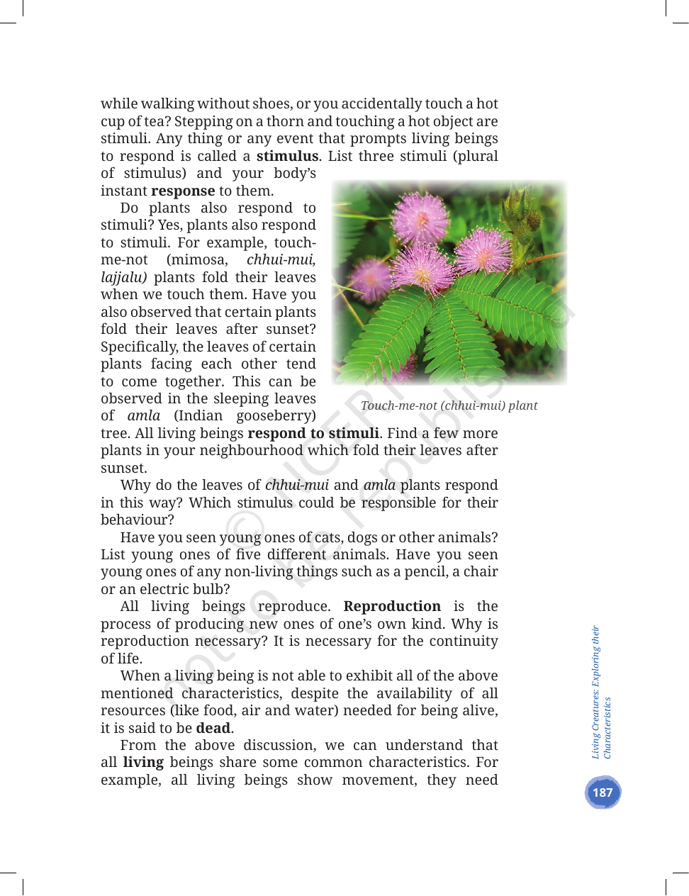 Page 5 of Living Creatures: Exploring their Characteristics