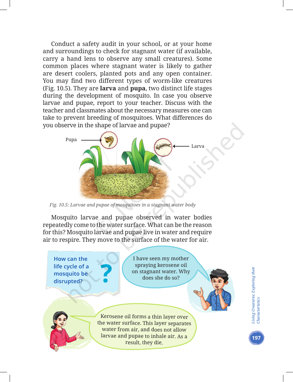 Page 15 of Living Creatures: Exploring their Characteristics