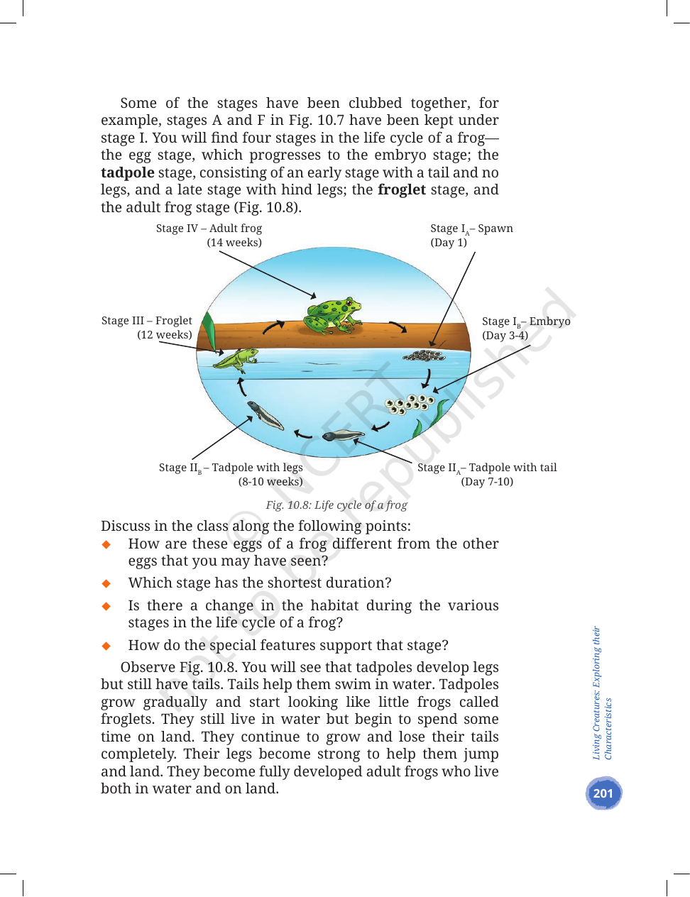 Page 19 of Living Creatures: Exploring their Characteristics
