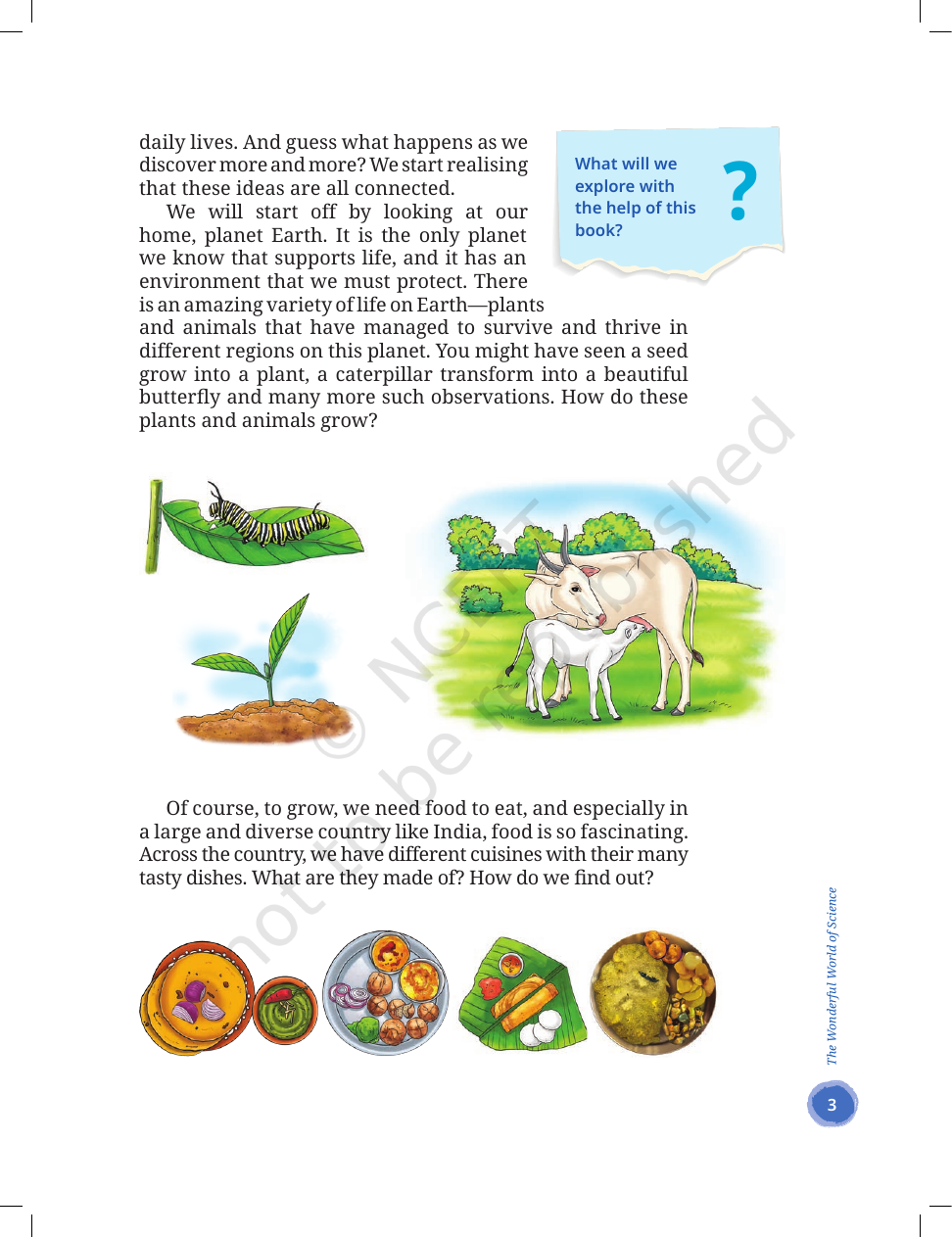 Page 3 of The Wonderful World of Science