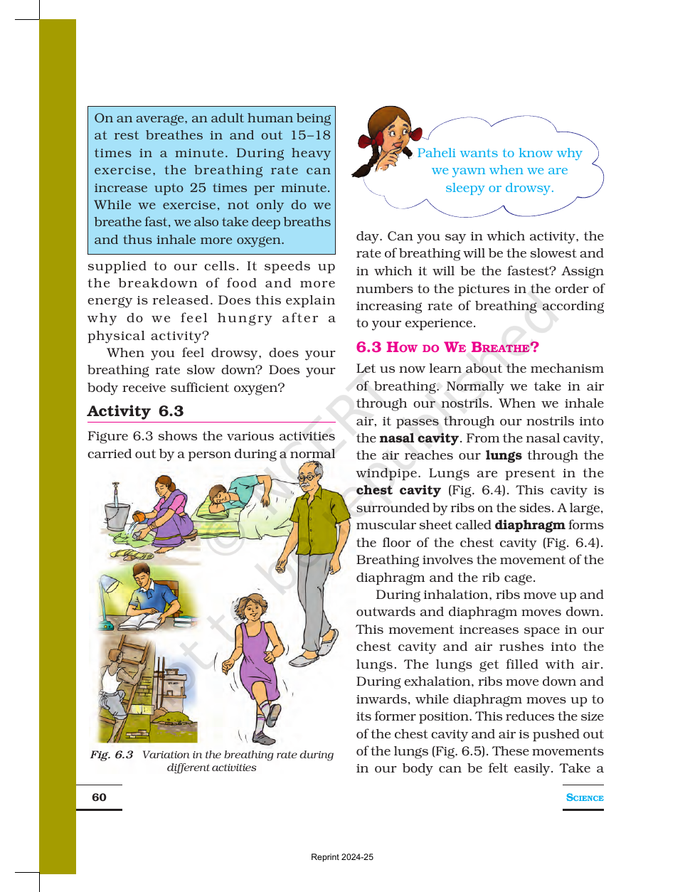 Page 4 of Respiration in Organisms