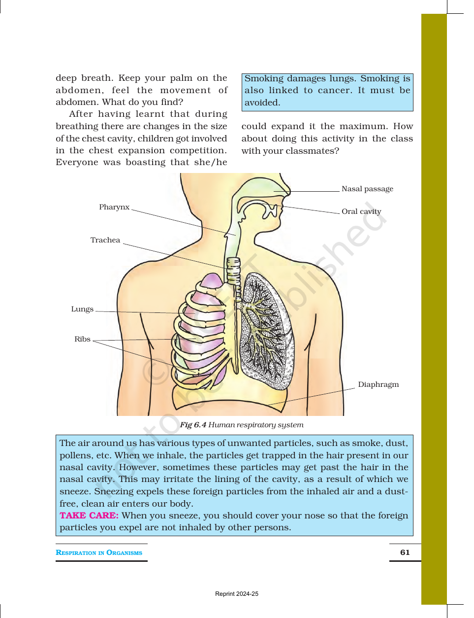 Page 5 of Respiration in Organisms