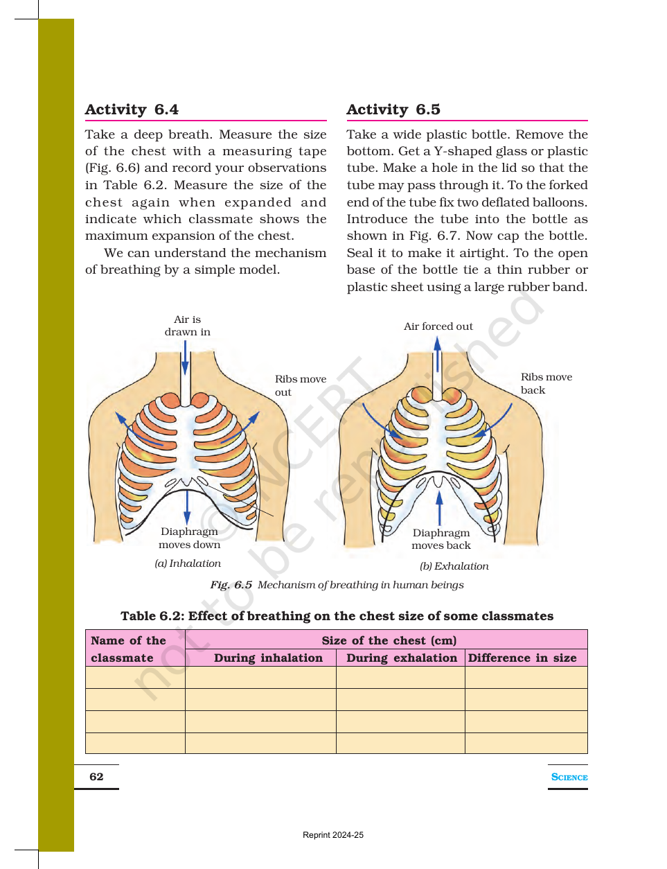Page 6 of Respiration in Organisms