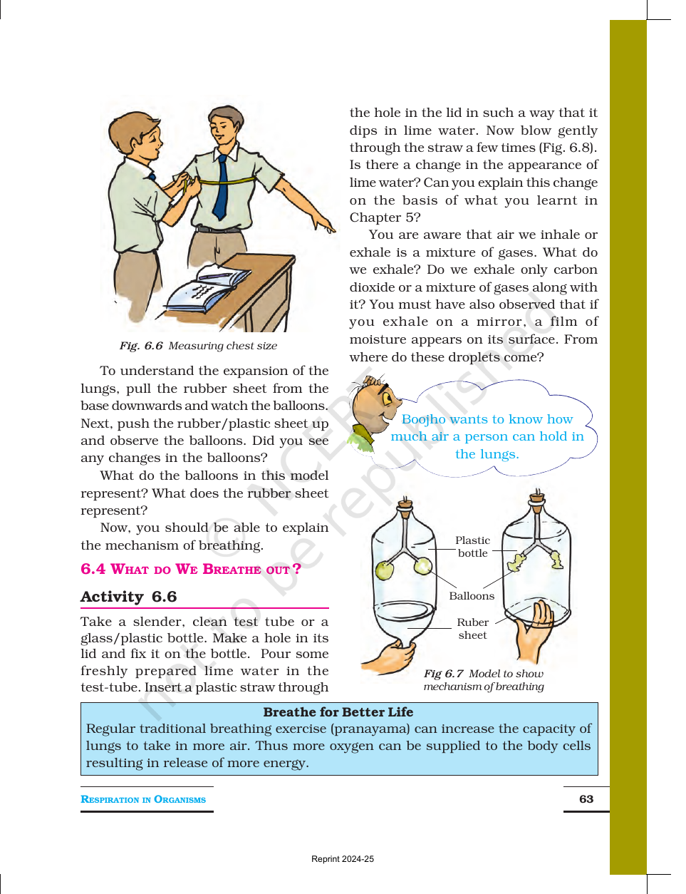 Page 7 of Respiration in Organisms