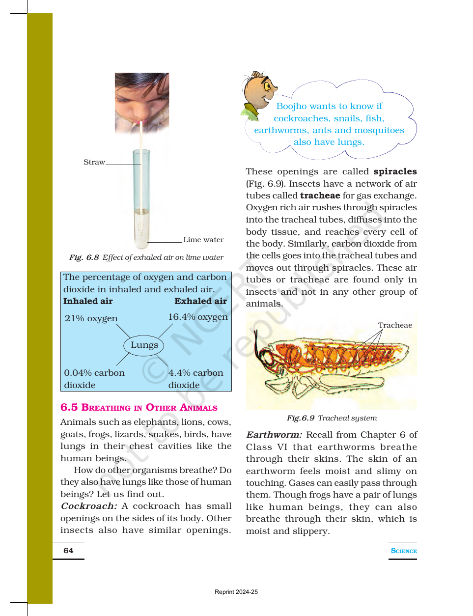 Page 8 of Respiration in Organisms