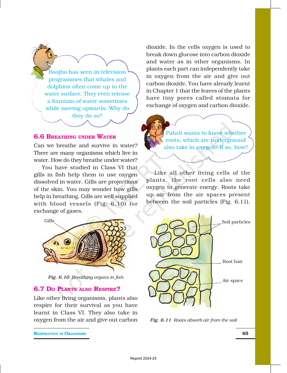 Page 9 of Respiration in Organisms