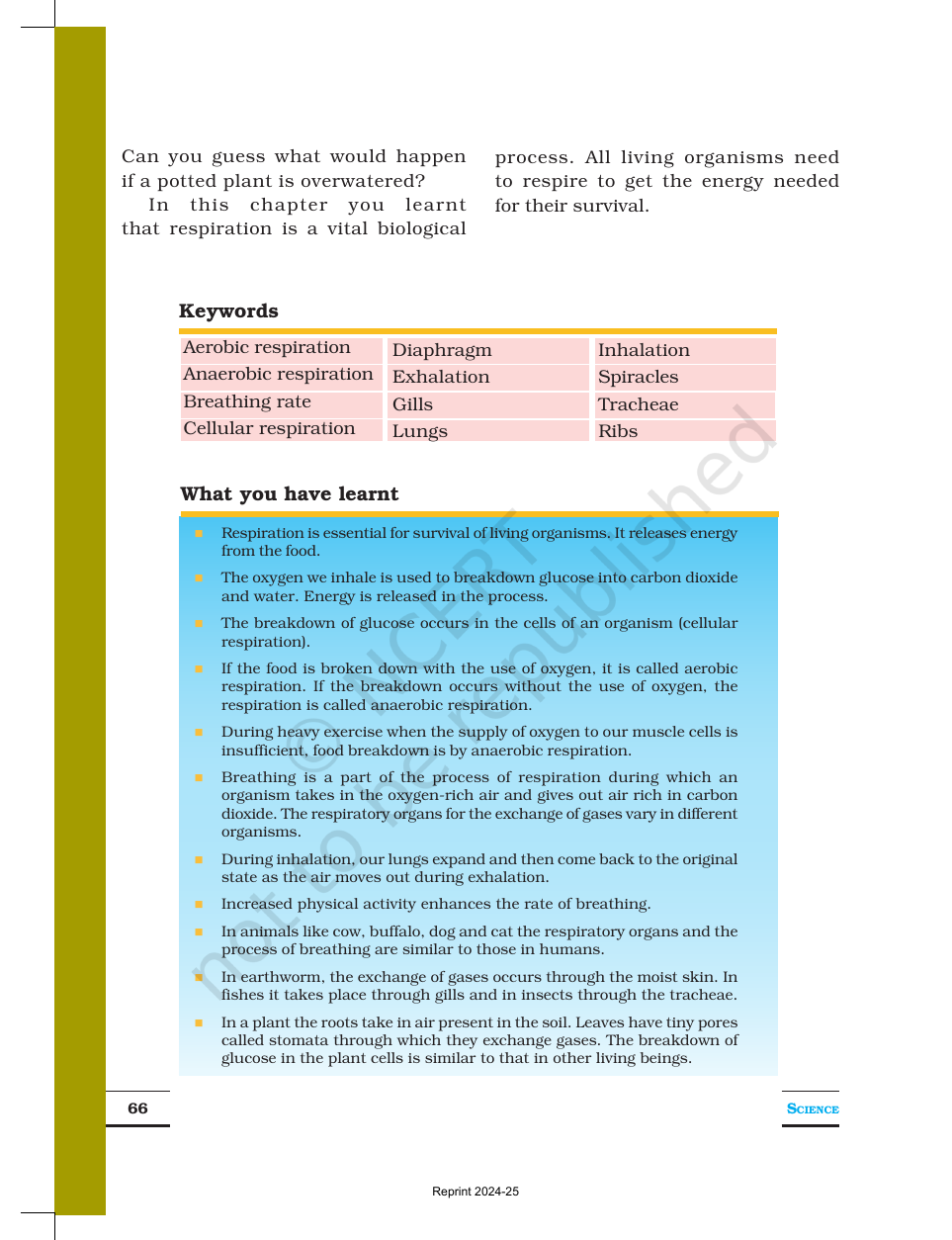 Page 10 of Respiration in Organisms