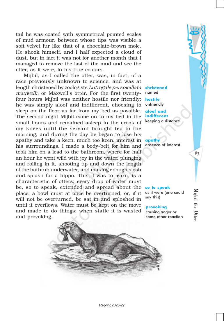 Page 4 of Mijbil the Otter