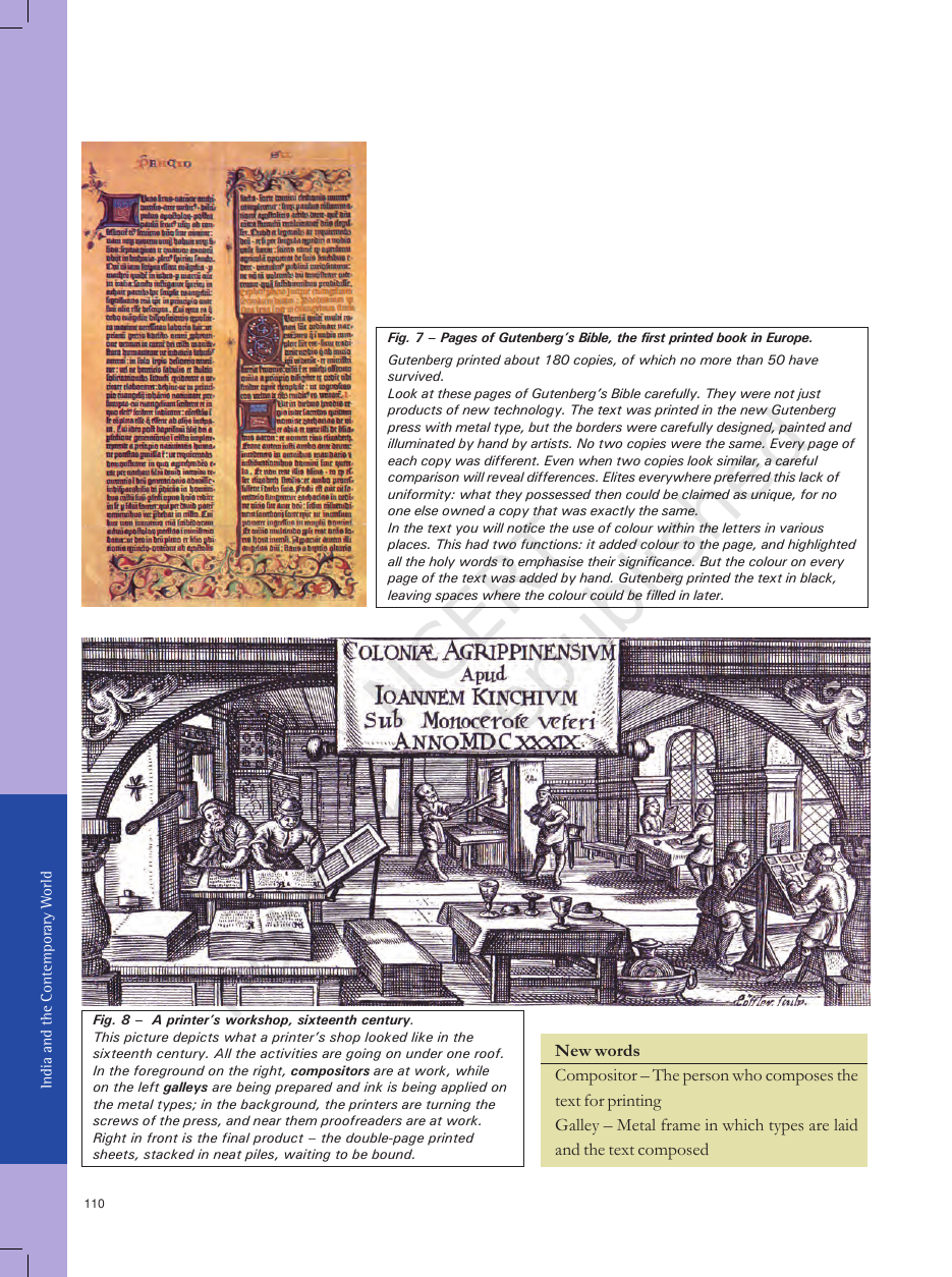 Page 8 of Outcomes of Democracy