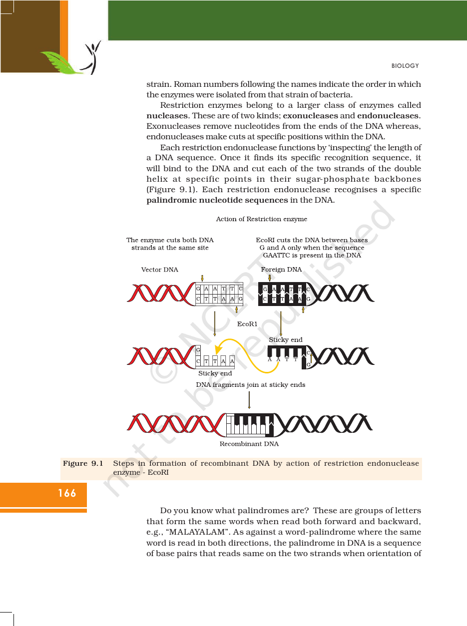 Page 6 of Biotechnology: Principles and Processes