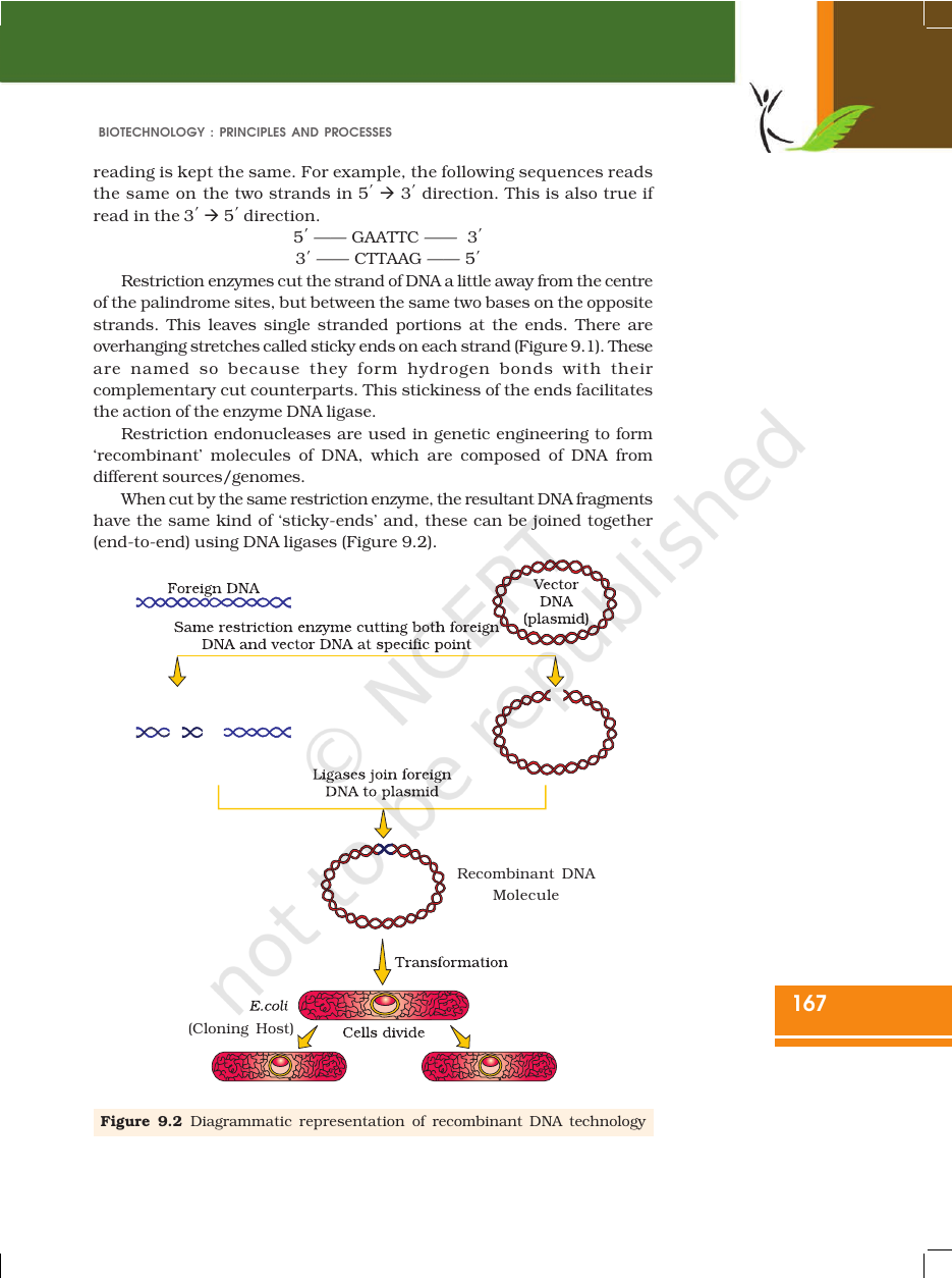 Page 7 of Biotechnology: Principles and Processes
