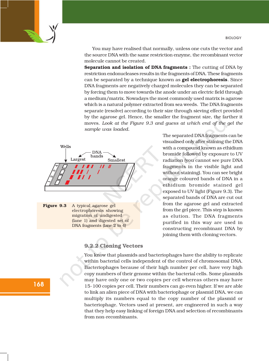 Page 8 of Biotechnology: Principles and Processes